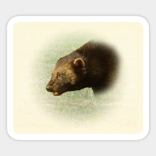 Wolverine portrait Sticker